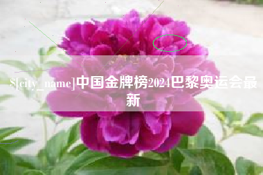 贵阳中国金牌榜2024巴黎奥运会最新
