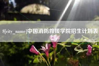 贵阳中国消防救援学院招生计划表