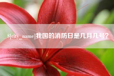 贵阳我国的消防日是几月几号？
