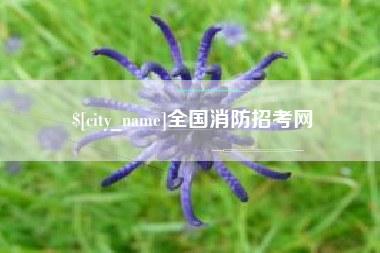 贵阳全国消防招考网