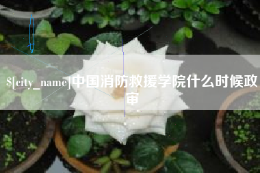 贵阳中国消防救援学院什么时候政审