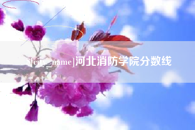 贵阳河北消防学院分数线
