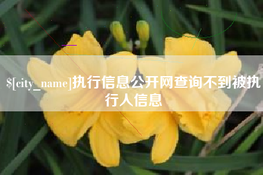 贵阳执行信息公开网查询不到被执行人信息