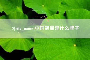 贵阳中国冠军是什么牌子