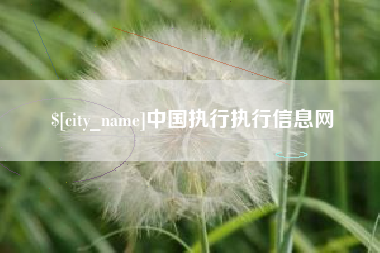 贵阳中国执行执行信息网