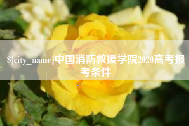 贵阳中国消防救援学院2020高考报考条件