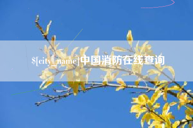 贵阳中国消防在线查询