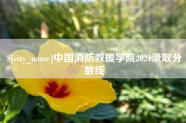 贵阳中国消防救援学院2021录取分数线