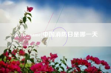 贵阳中国消防日是哪一天