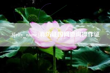 贵阳消防证国网查询操作证