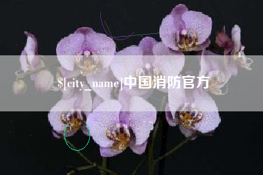 贵阳中国消防官方