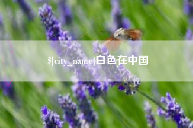 贵阳白色在中国