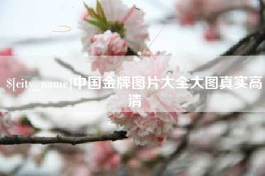贵阳中国金牌图片大全大图真实高清