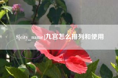 贵阳九宫怎么排列和使用
