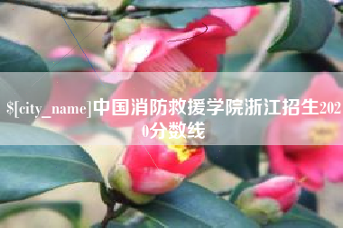 贵阳中国消防救援学院浙江招生2020分数线