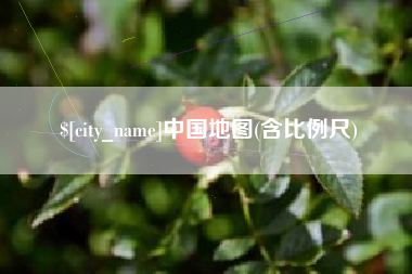 贵阳中国地图(含比例尺)