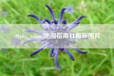 贵阳地图指南针图标图片