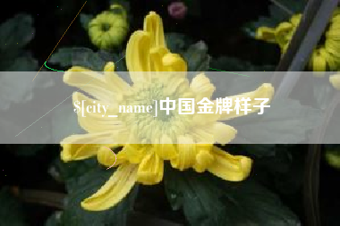 贵阳中国金牌样子