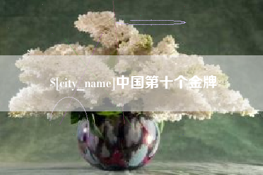 贵阳中国第十个金牌