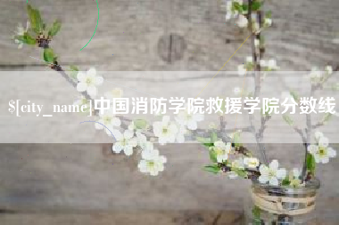 贵阳中国消防学院救援学院分数线
