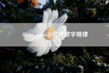贵阳9宫格数字规律