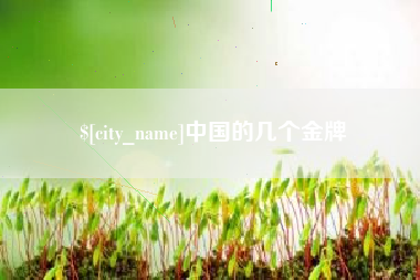 贵阳中国的几个金牌