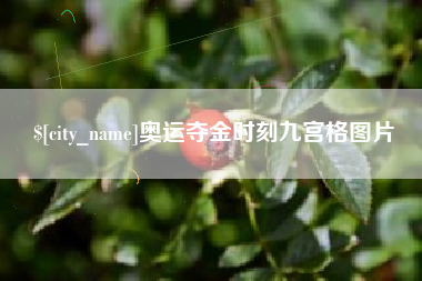 贵阳奥运夺金时刻九宫格图片