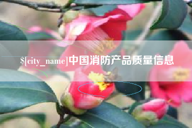 贵阳中国消防产品质量信息