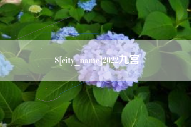 贵阳2022九宫