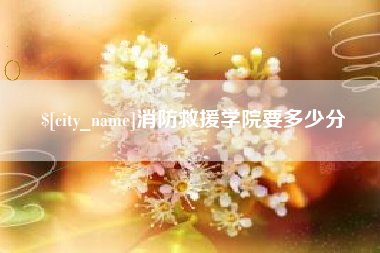贵阳消防救援学院要多少分