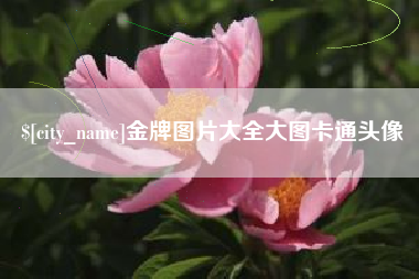 贵阳金牌图片大全大图卡通头像