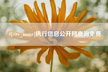 贵阳执行信息公开网查询免费