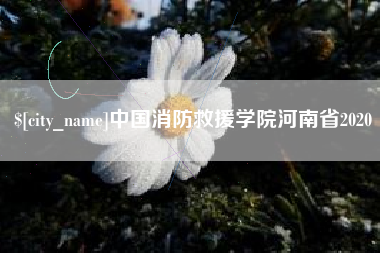 贵阳中国消防救援学院河南省2020